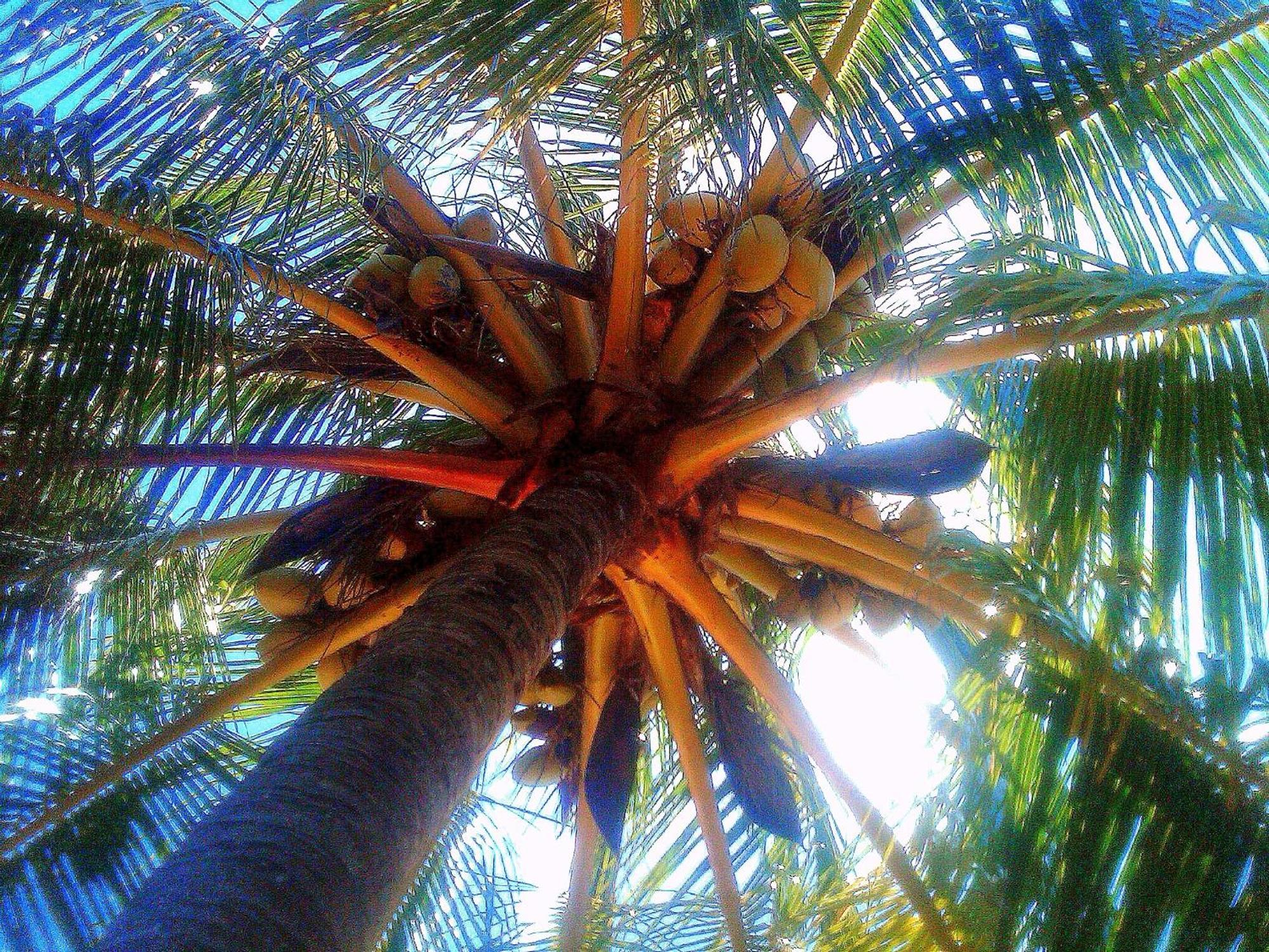 Blue Horizon Boutique Resort (Adults Only) Vieques Esterno foto