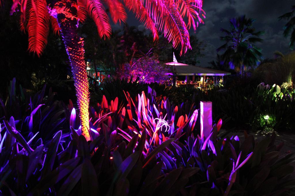 Blue Horizon Boutique Resort (Adults Only) Vieques Esterno foto