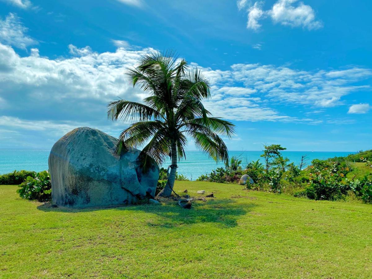 Blue Horizon Boutique Resort (Adults Only) Vieques Esterno foto