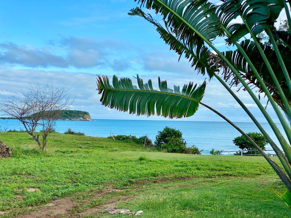 Blue Horizon Boutique Resort (Adults Only) Vieques Esterno foto