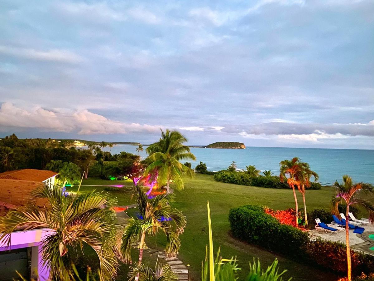 Blue Horizon Boutique Resort (Adults Only) Vieques Esterno foto