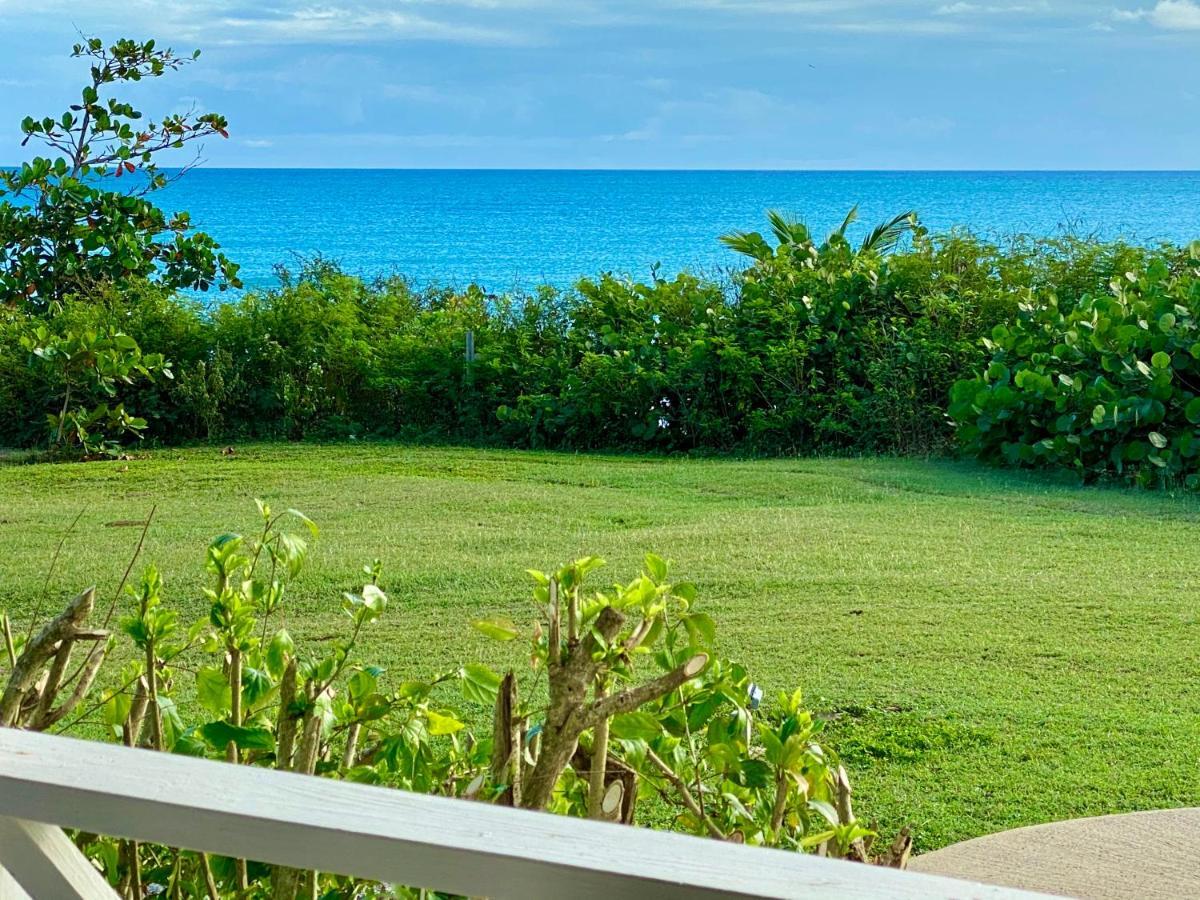 Blue Horizon Boutique Resort (Adults Only) Vieques Esterno foto