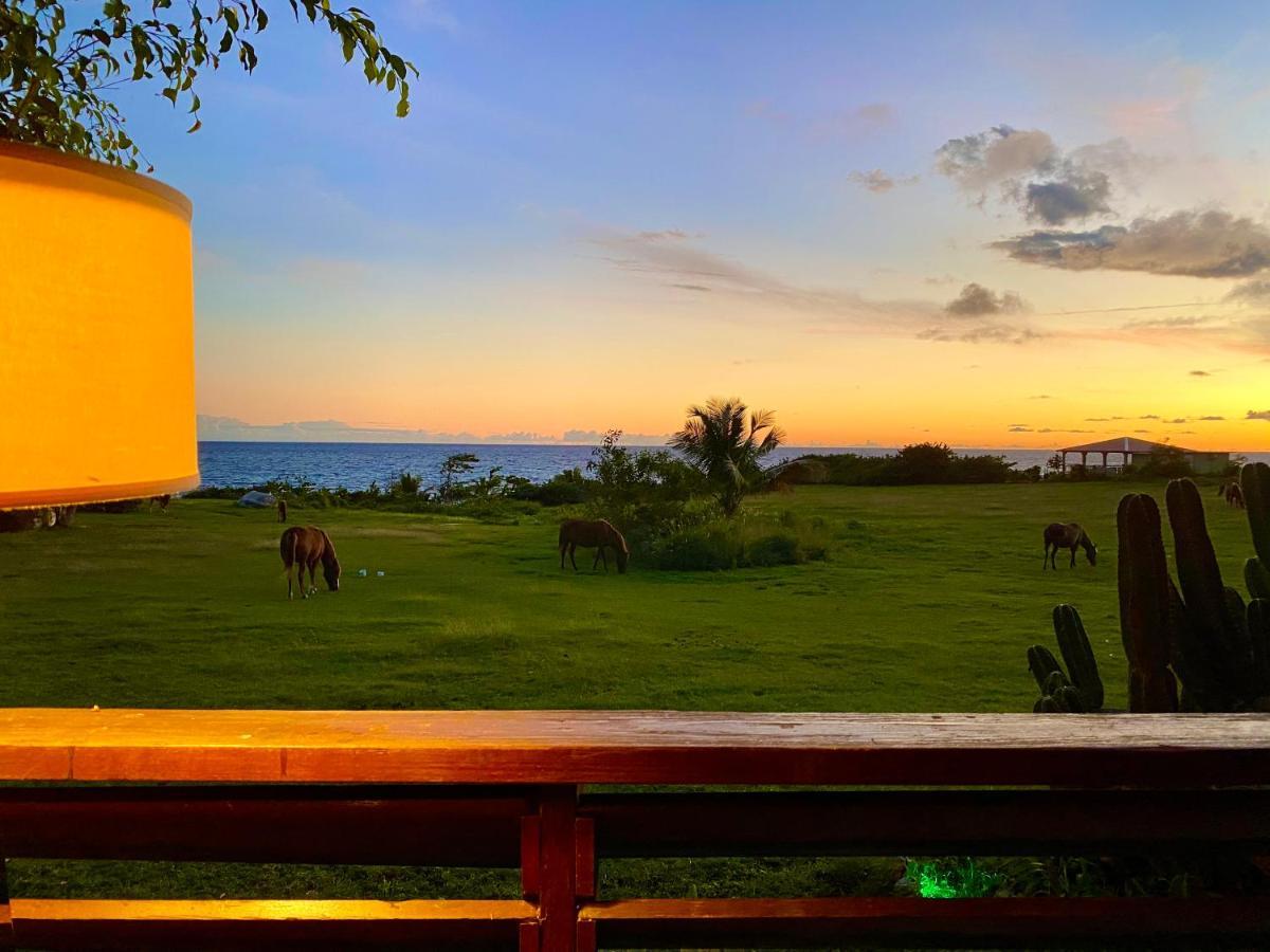 Blue Horizon Boutique Resort (Adults Only) Vieques Esterno foto