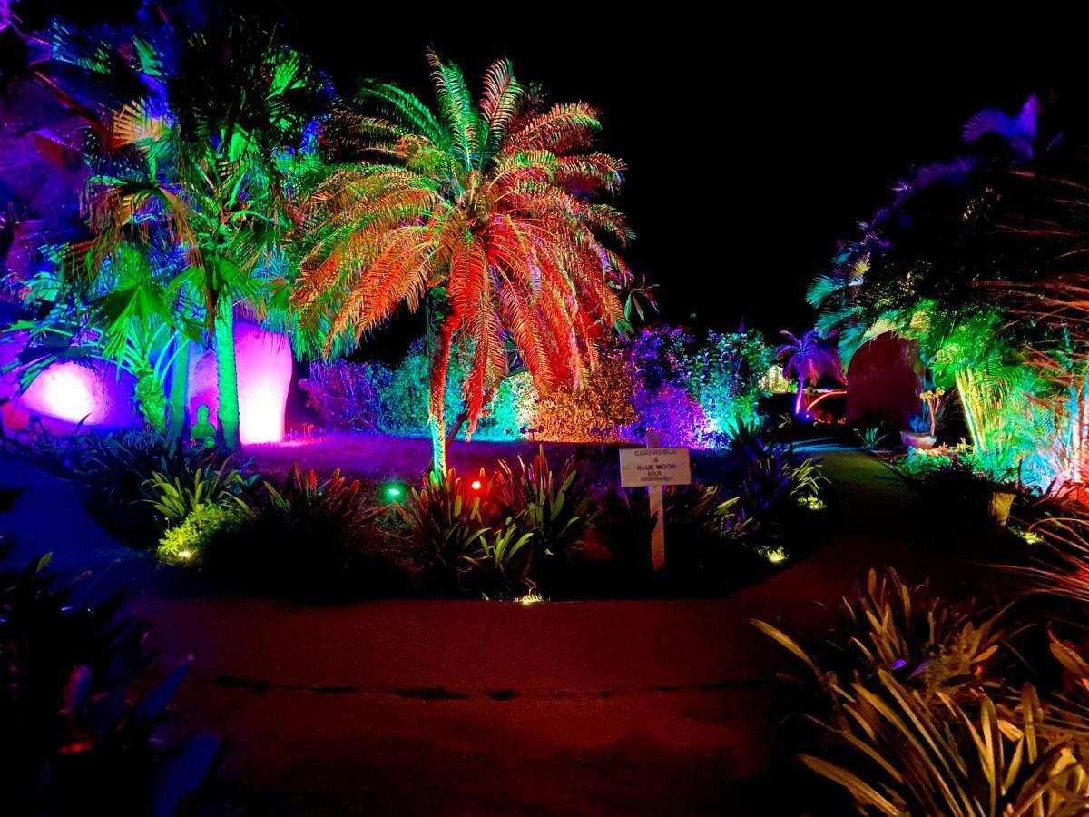 Blue Horizon Boutique Resort (Adults Only) Vieques Esterno foto